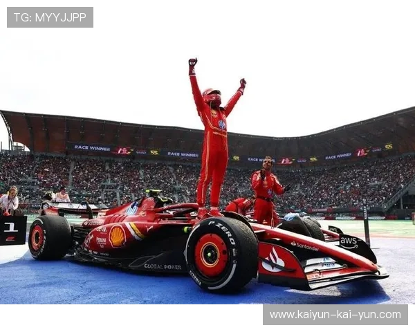 汉密尔顿巴西站退赛,赛恩斯“顶牛”导致赛车受损 汉密尔顿巴西站退赛,赛恩斯“顶牛”导致赛车受损